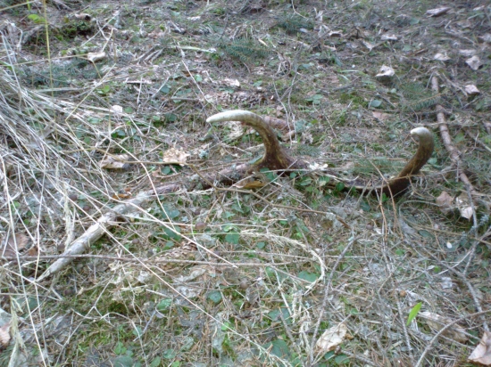 dnes to bol starý...ale poteší