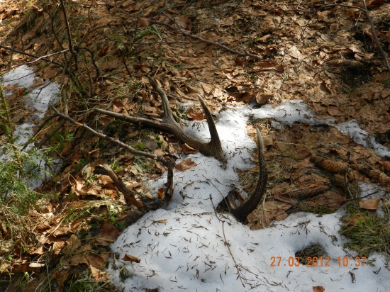 Konečne čerstvý...