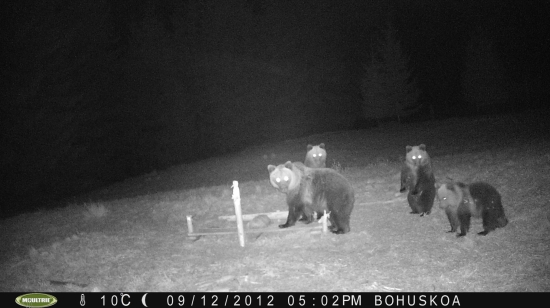 trojčatá s maminkou:)