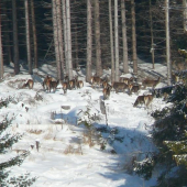 Holááááá...:)))