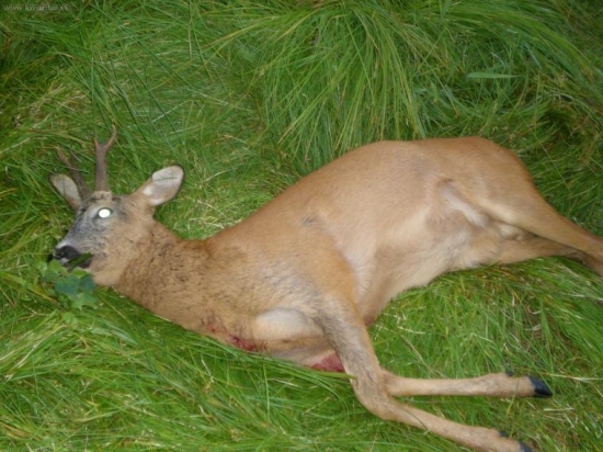 Poplatkový Mikulášovice 2