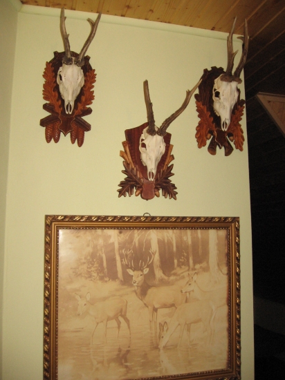 Polovnicke zatisie 2