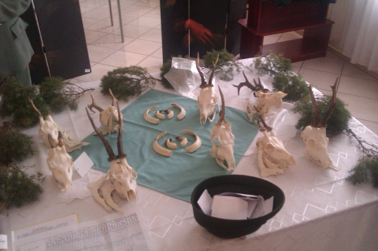 Vyr. cl. schodza 2012