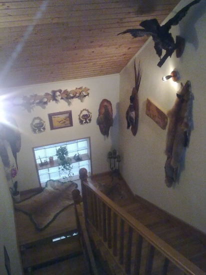 Výstup do polovnickeho podkrovia.