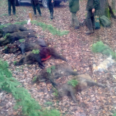 Úspešná spoločná poľovačka.