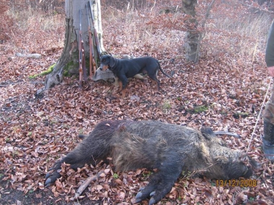 Kanec zo spoločnej poľovačky