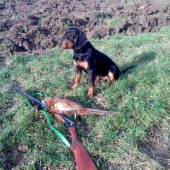 Novembrová poľovačka.