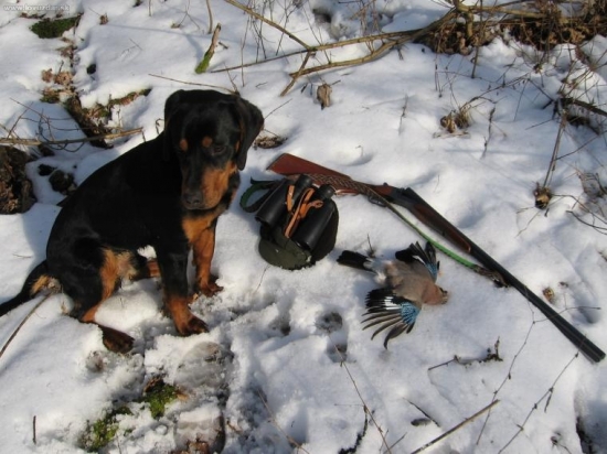 Prechádzka revírom.