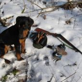 Prechádzka revírom.