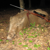 Uspešná poľovačka.