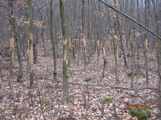 No zhod som tu nenasiel.