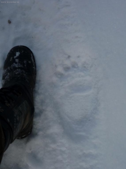 ešte nespia:)) (veľkosť topánky 10 )