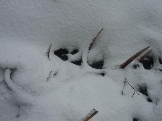 takto si na mňa počkal :))))