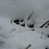 takto si na mňa počkal :))))