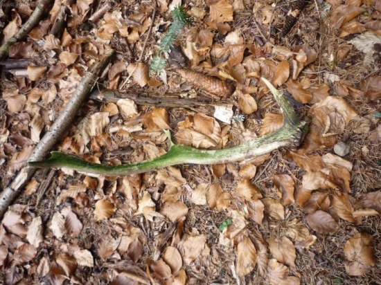 po dlhom pôste aj takýto poteší :))))