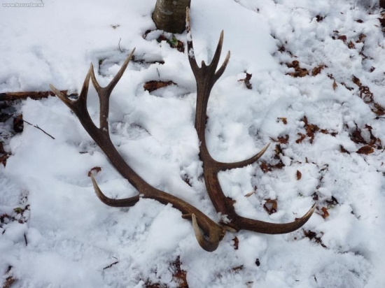 a uz sú spolu je to par k tomu predoslému