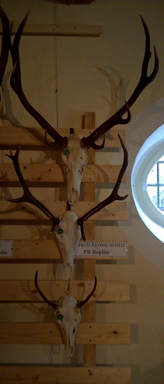 Traja štramáci, tri generácie..