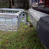 Nosič zveri na auto