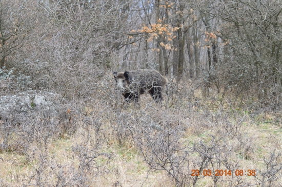 Z očí do očí  3.