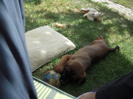 hryziem vsetko co chytim:-)