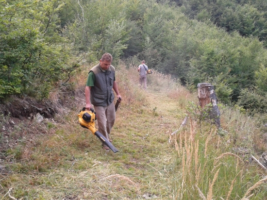 čistenie chodnika pred rujou