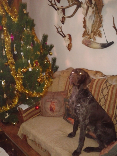 Sedím a čakám,dufam že dostanem niečo