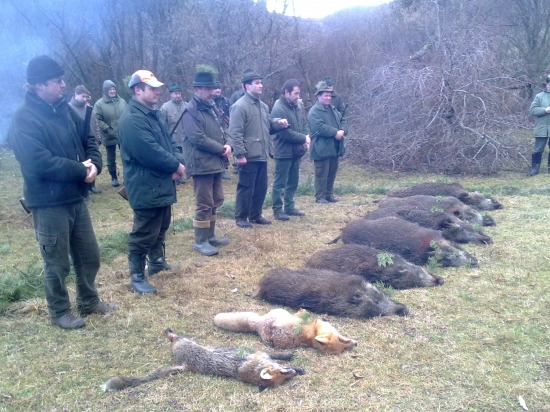 Pod Prosieckou dolinou