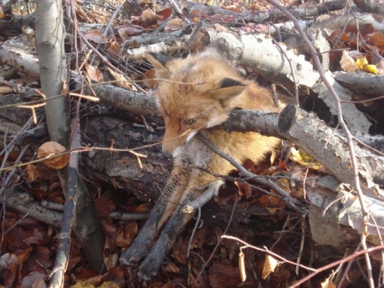 len tak si odychuje.