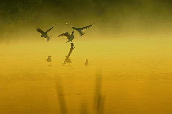 v prvých lúčoch slnka