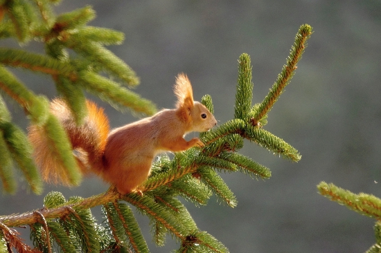 Z balkona a v protisvetle