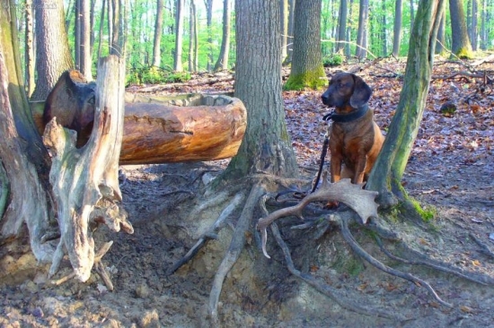 aj Asta sa potešila...