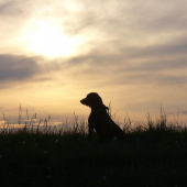 Zapadajúce slnko....