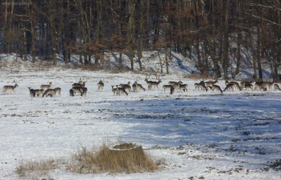 viac sa ich nezmestilo do záberu.:)