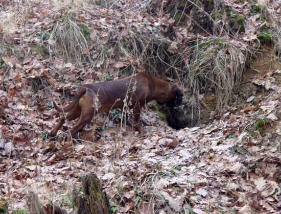 tu asi niekto býva....:)