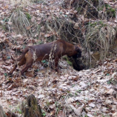 tu asi niekto býva....:)