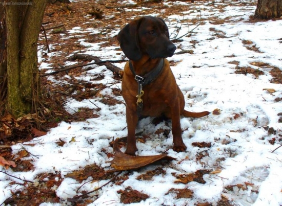 Asta 10 mesiacov a odlomená lopata s daniela..