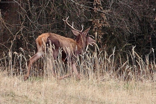 každú chvílu spadne::)
