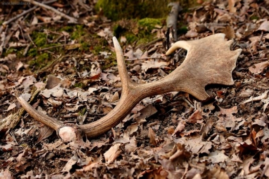 takto na mňa čakal.:):)konečne sa zadarilo...