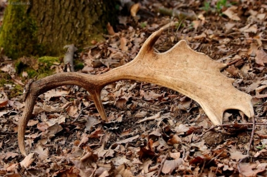 Môj prvý zhod tohto roku..:)