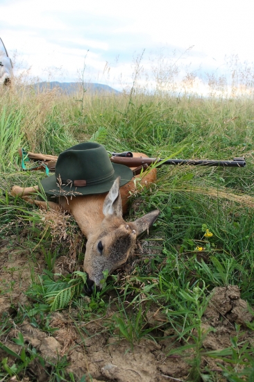 Môj prvý srnec...:)