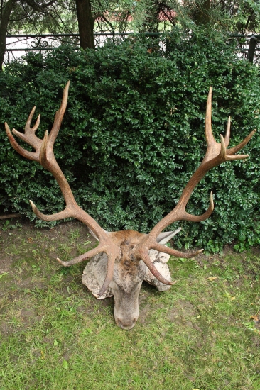 Starkého životný....