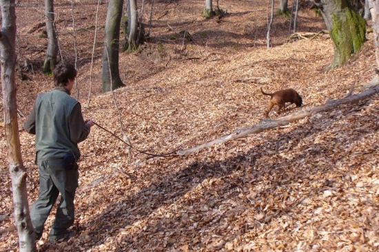 Asta a práca na umelej stope..