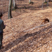 Asta a práca na umelej stope..