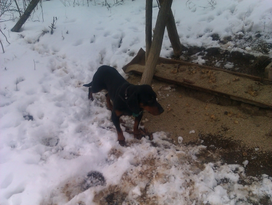 Už zakŕmené.,.,:)