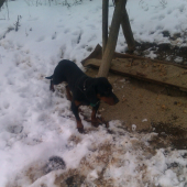 Už zakŕmené.,.,:)