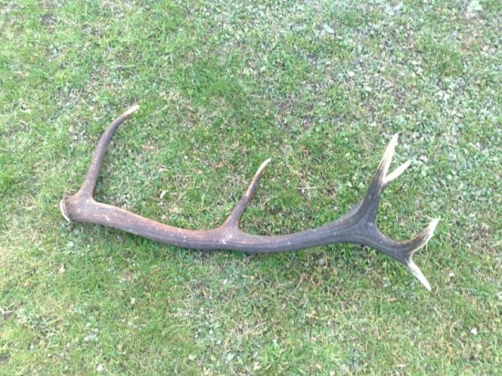 včerajší 12torák