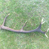 včerajší 12torák