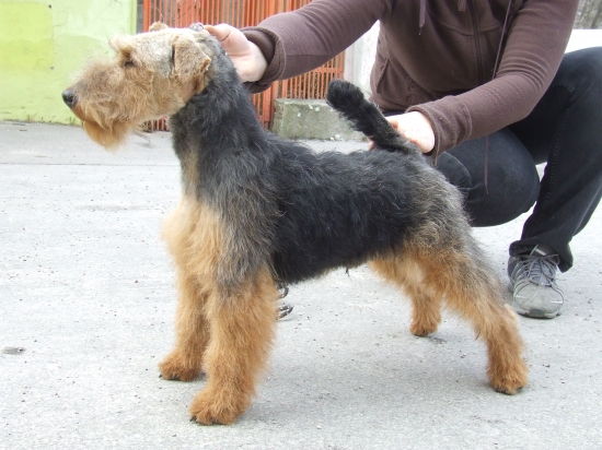 Agbar (Agy) z Chrástkovej