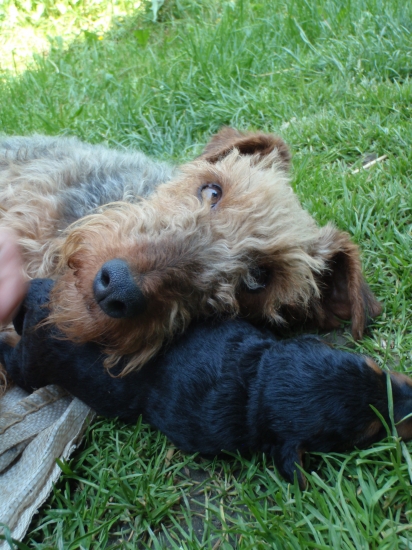 Nie je nad to keď si mám kde hlavu vyložiť:-)