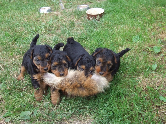 všetci za jedneho....